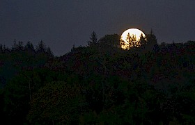 Flower Moon, full moon in May. Photo: Jonathan Neville.