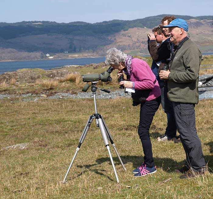 A guided day wildlife tour on land is part of the cruise