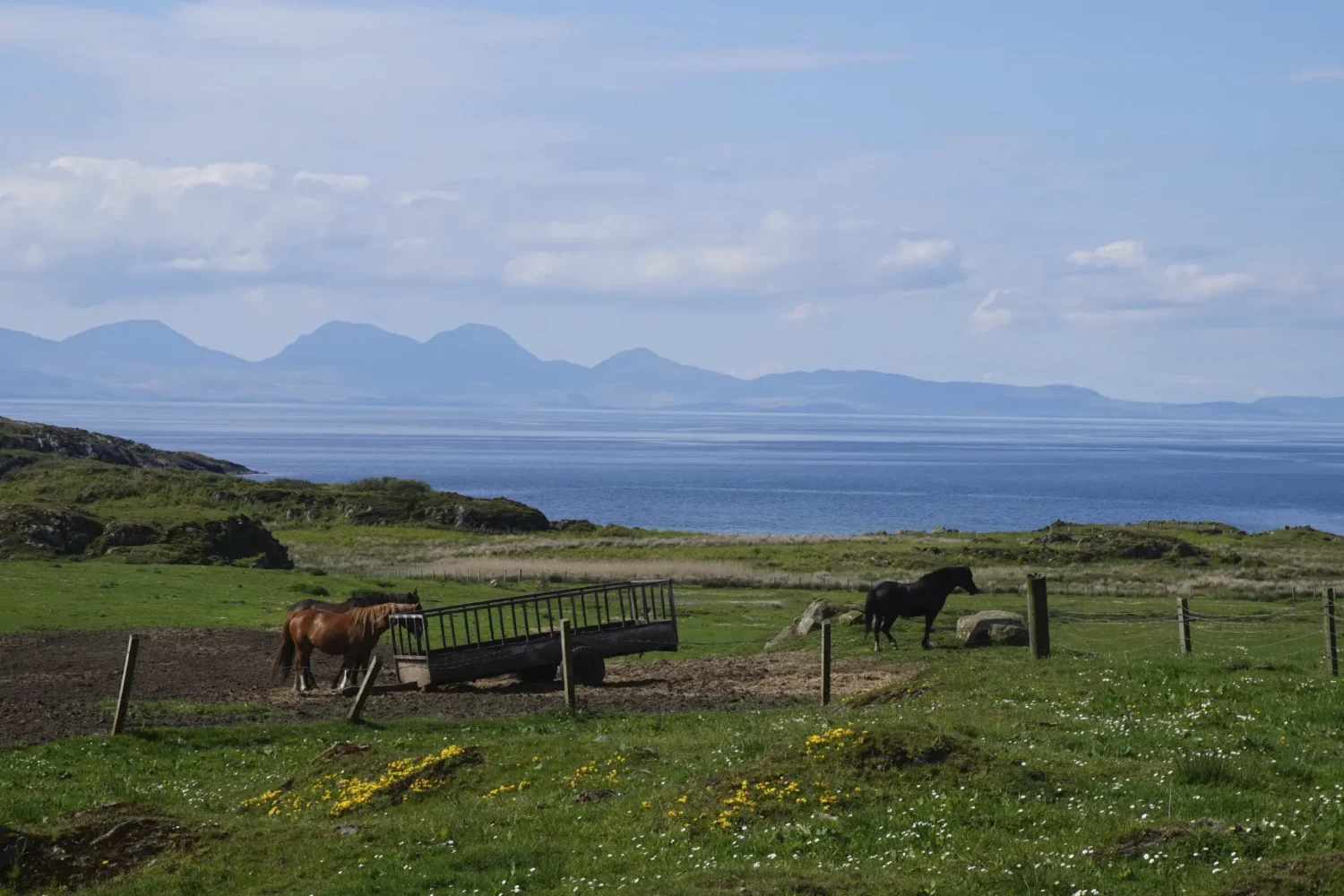 Grassy terrain in the southern hebrides