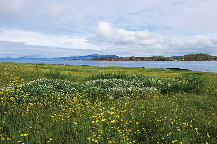 "Machair" on the Sound of Mull