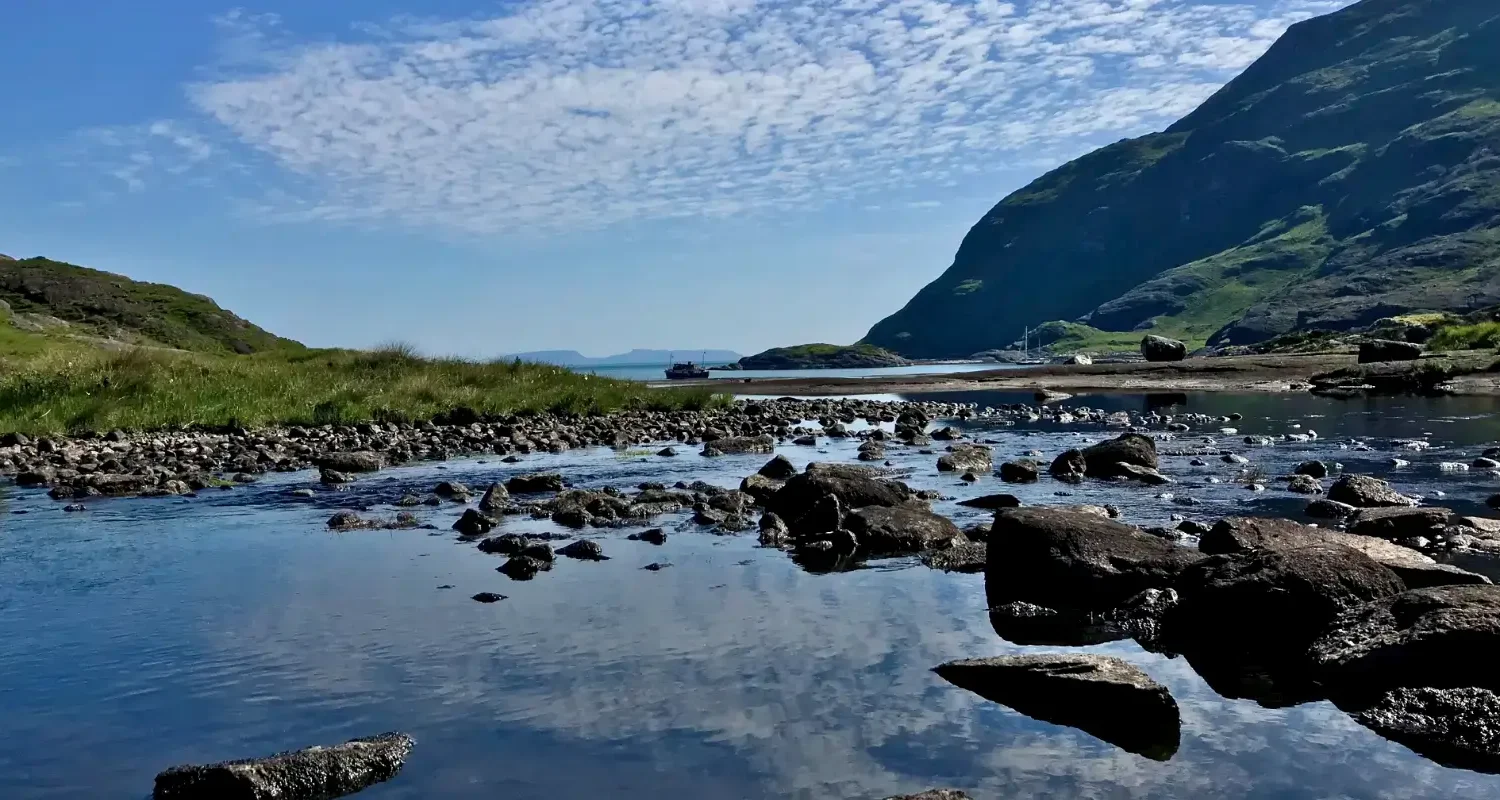 Small pool of water with rocks scattered throughout.